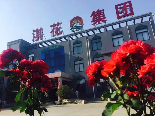 鶴壁這家企業(yè) 亮爆 食博會(huì) 尋找原因竟然是