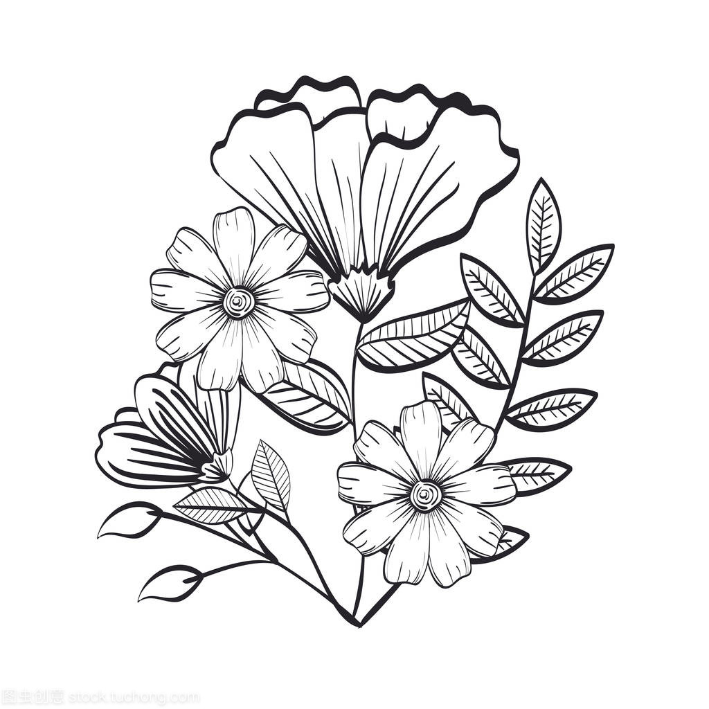 單色和鄉(xiāng)村裝飾花卉